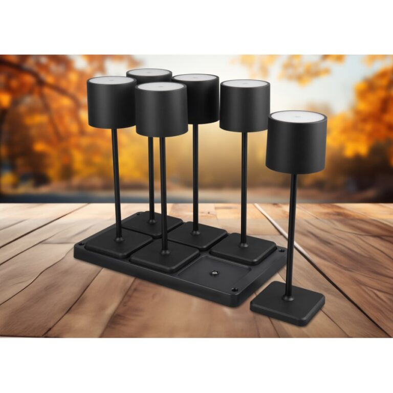 Trio R54096632 FERNANDEZ kültéri dekorációs LED lámpa